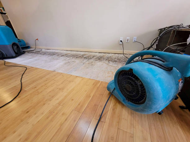 Professional Water Damage Repair technician working in Jamestown, PA